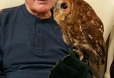Owl visit